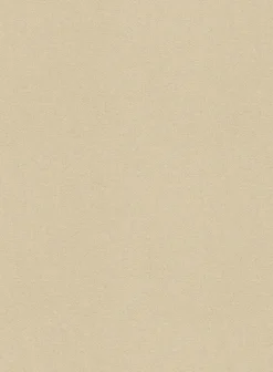 Beige Feather Cotton Canvas Stretch Jacket -Studiosuits Shop beigefeathercottocanvasstretchjacketlk 2