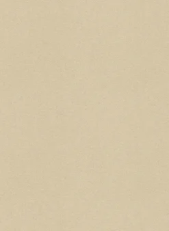 Washed Beige Feather Cotton Canvas Stretch Chino Pants -Studiosuits Shop beigefeatherstretchinopantswashed 3