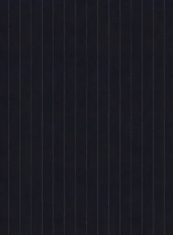 Bristol Blue Chalkstripe Pants -Studiosuits Shop bristolbluechalkstripespntlk 2