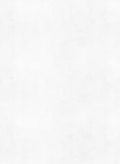 European White Linen Western Style Shirt -Studiosuits Shop europwhitelinenwesternstyleshirtlook 3 ce87f2a4 771b 42f7 a673 9f21c34dc7ad