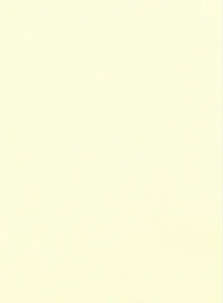 Giza Yellow Cotton Shirt 5 Giza Yellow Cotton Shirt -Studiosuits Shop gizayellowcottonshirtlook 2