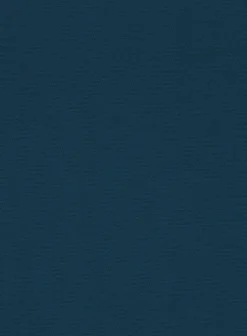 Italian Astronaut Blue Cotton Stretch Shorts 11 Italian Astronaut Blue Cotton Stretch Shorts -Studiosuits Shop italianastronautbluecottonstretchshortslook 5