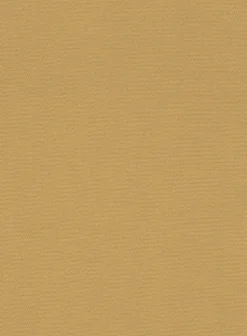 Italian Cider Brown Cotton Stretch Shorts -Studiosuits Shop italianciderbrowncottonstretchshortslook 5