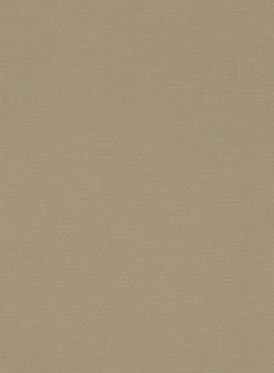 Italian Dark Beige Cotton Stretch Shorts -Studiosuits Shop italiandarkbeigecottonstretchshortslook 5