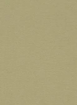 Italian Dark Tan Cotton Stretch Pants -Studiosuits Shop italiandarktancottonstretchpantlk 2