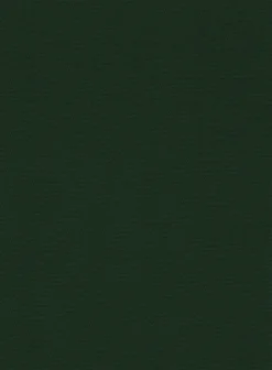 Italian Emerald Green Cotton Stretch Pants -Studiosuits Shop italianemeraldgrencotonpnttlok 2