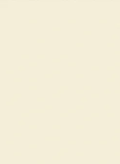 Italian Ivory Cotton Stretch Shorts 11 Italian Ivory Cotton Stretch Shorts -Studiosuits Shop italianivorycottonstretchshortslook 5