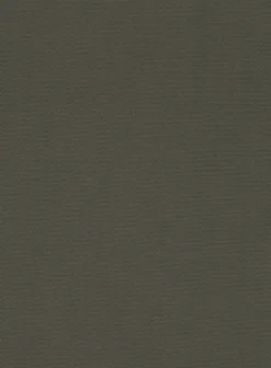 Italian Ivy Green Cotton Stretch Shorts -Studiosuits Shop italianivygreencottonstretchshortslk 5