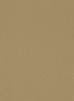 Italian Khaki Cotton Stretch Pants -Studiosuits Shop italiankhakicottonstretchpantlk 2