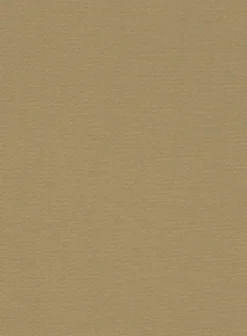 Italian Khaki Cotton Stretch Shorts -Studiosuits Shop italiankhakicottonstretchshorts 5