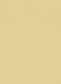 Italian Latte Beige Cotton Stretch Pants -Studiosuits Shop italianlattebegecttnstrchpantlook 2