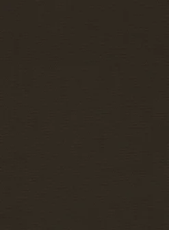 Italian Mocha Brown Cotton Stretch Shorts -Studiosuits Shop italianmochabrowncottonstretchshortslk 5