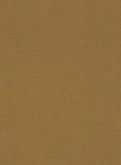 Italian Walnut Brown Cotton Stretch Shorts -Studiosuits Shop italianwalnutbrowncottonstretchshortslk 5