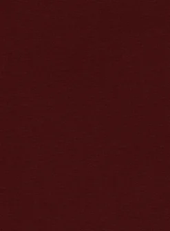 Italian Wine Cotton Stretch Pants -Studiosuits Shop italianwinecottonstretchpantlook 2