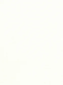 Ivory Wool Suit 11 Ivory Wool Suit -Studiosuits Shop ivorywlsuitlk 5