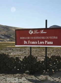 Loro Piana Green Cotton Pants -Studiosuits Shop loropianagreencottonpantlook 3