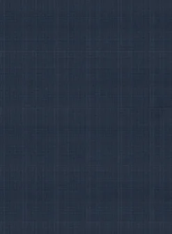 Napolean Vintage Blue Check Pants -Studiosuits Shop napoleanvintagebluecheckpantlook 2