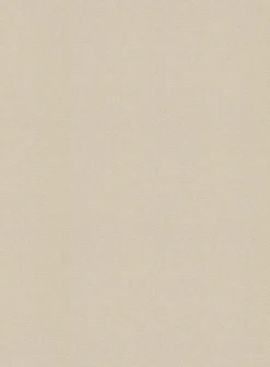 Washed Sand Feather Cotton Canvas Stretch Chino Pants -Studiosuits Shop sandfeathercottoncanvasstretchwashedpantslook 2