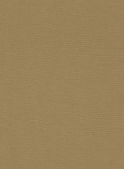 Tan Feather Cotton Canvas Stretch Pants -Studiosuits Shop tanfeathercottoncanvasstretchpntlk 2 7a948ce4 5449 4519 979f 5f68aaaf0d3c