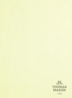 Thomas Mason Daffodil Yellow Shirt -Studiosuits Shop thomasmasondaffodilyellowshirtlook 2