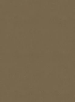 Washed Dark Beige Feather Cotton Canvas Stretch Chino Pants -Studiosuits Shop washdkbeigefeatcotcanvstrchinos 3