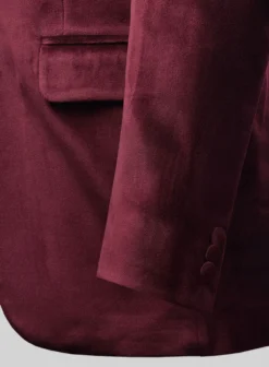 Wine Velvet Blazer - Lion Handwork -Studiosuits Shop winevelvetblazerlionembroiderylook 3